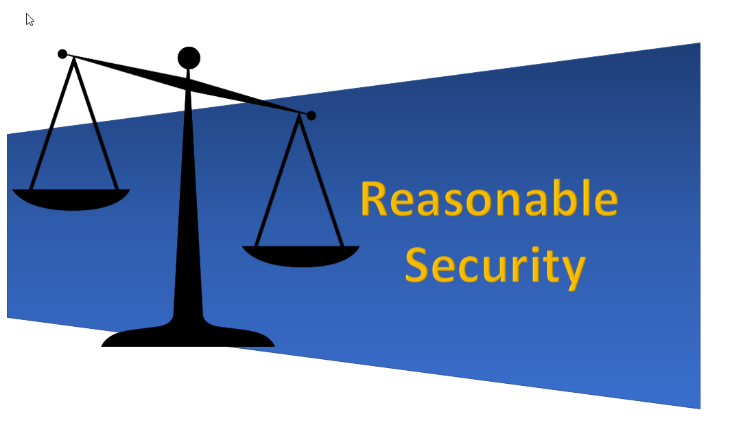 What is Reasonable Security?