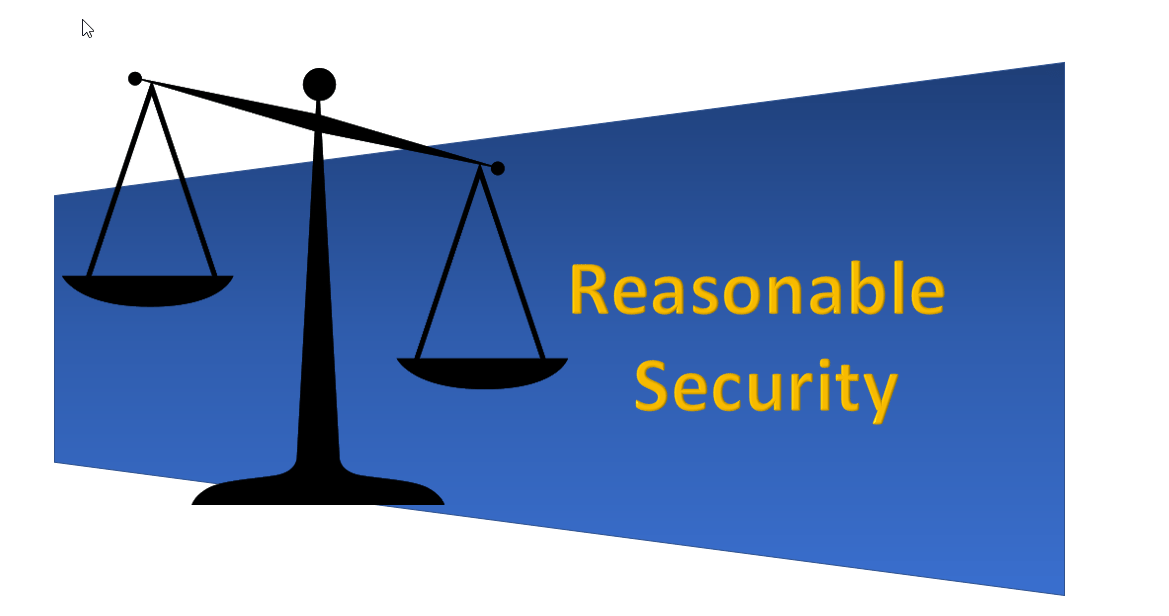 What Is Reasonable Security Assured SPC